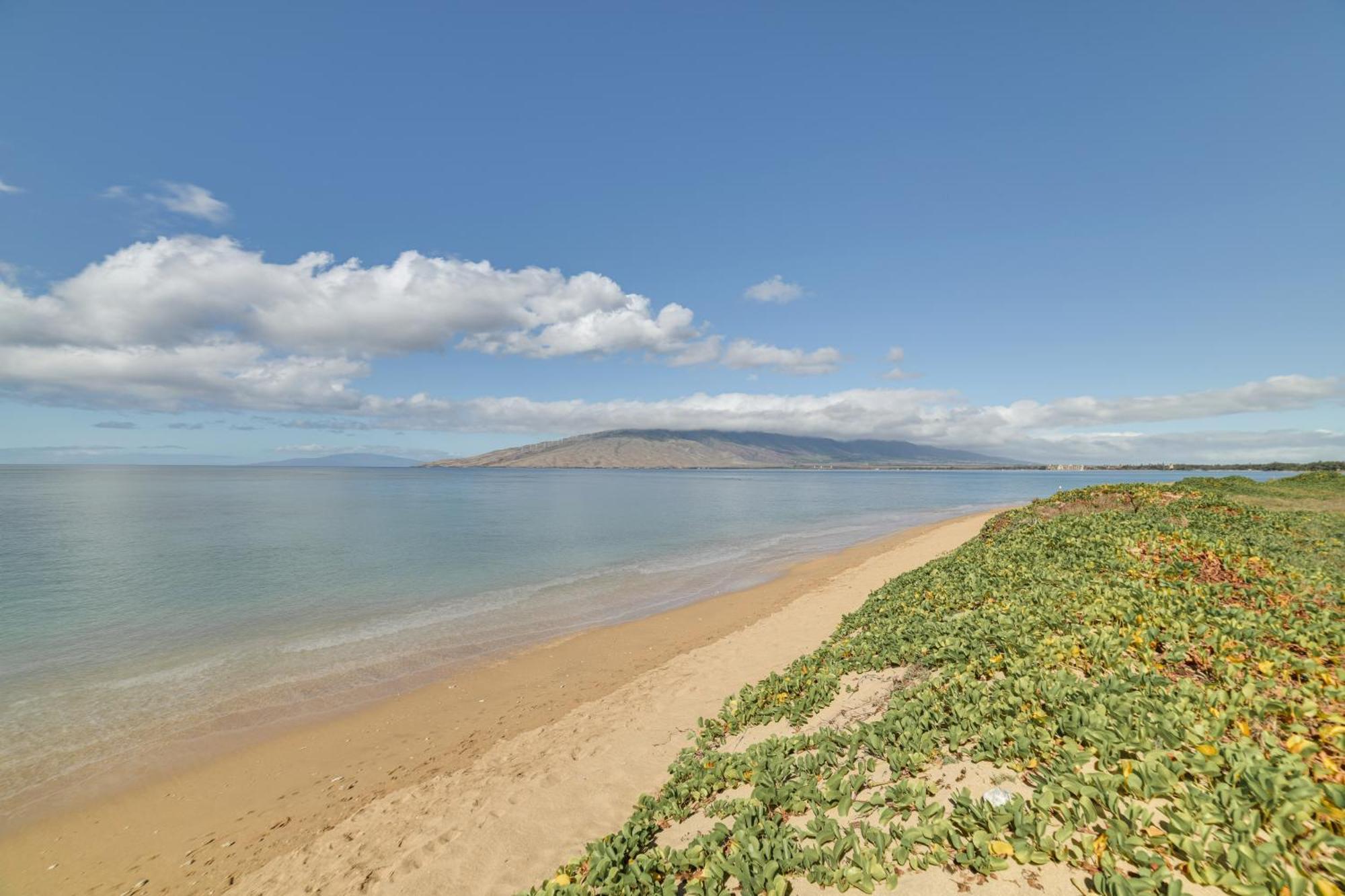 Kihei Haven At Village By The Sea, Steps To Beach! エクステリア 写真